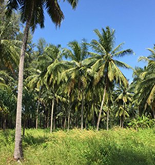 home_image_2