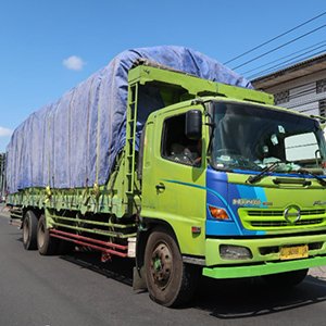 Distribusi 300 x 300